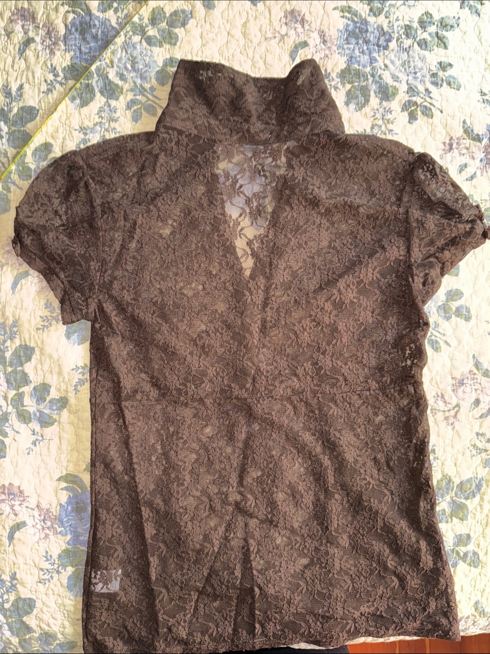 Apt.9 Brown Lace Button-Front Dress Sheer Top Y2K Cottagecore Poetcore - Picture 9 of 11